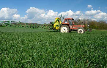 Quels herbicides sur céréales en sortie d’hiver 2022 en Occitanie ?