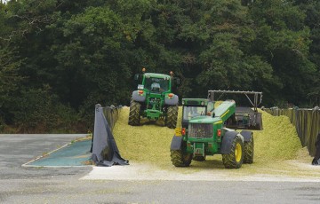 L’évolution de la qualité du maïs ensilage dans un silo