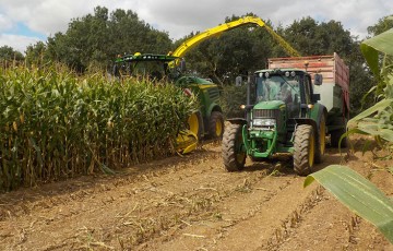 Dates prévisionnelles de récolte du maïs fourrage pour 2022
