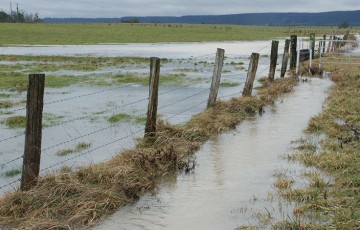 Recommandations pour récolter les prairies inondées