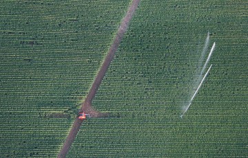 Quelle stratégie de fin d’irrigation du maïs 2022 en Centre - Ile de France ?