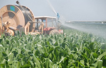 Le début des irrigations sur maïs en 2022 dans le Sud-Ouest