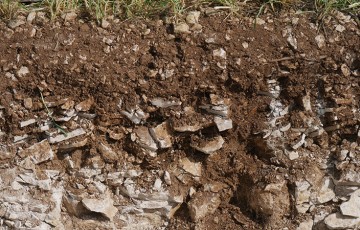 Teneur en matière organique du sol : un indicateur à suivre