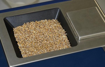 Les mesures par infrarouge dépendent de la température des grains