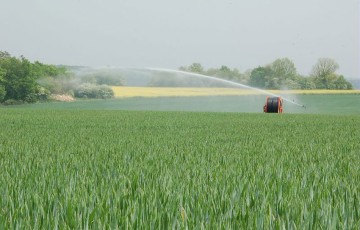 Irrigation sur céréales : enrouleur et canon