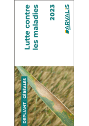 Céréales à paille : lutte contre les maladies - 2023