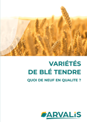 Variétés de blé tendre : quoi de neuf en qualité ? 2023