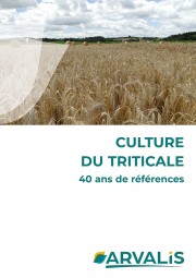 Culture du triticale : 40 ans de référence