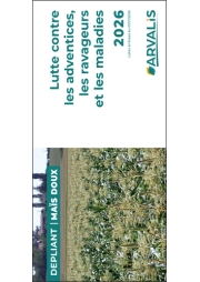 Maïs doux : lutte contre les adventices, les ravageurs et les maladies