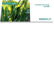 Variétés de maïs 2026