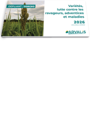 Dépliant Sorgho 2026