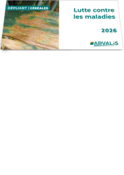 Dépliant Céréales à paille : lutte contre les maladies 2026