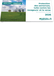 Céréales paille : protection semences, lutte ravageurs verse 2026