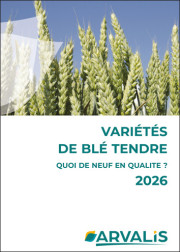 Variétés de blé tendre 2026 : quoi de neuf en qualité ?