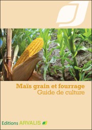 Maïs grain et fourrage : Guide de culture