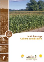 Maïs fourrage : culture et utilisation