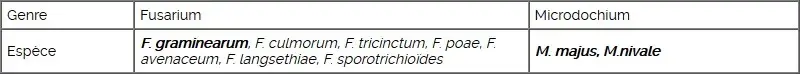 Genres et principales espèces de fusarioses de l’épi rencontrées sur les céréales à paille