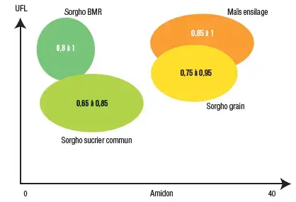 valeurs énergétiques des sorghos