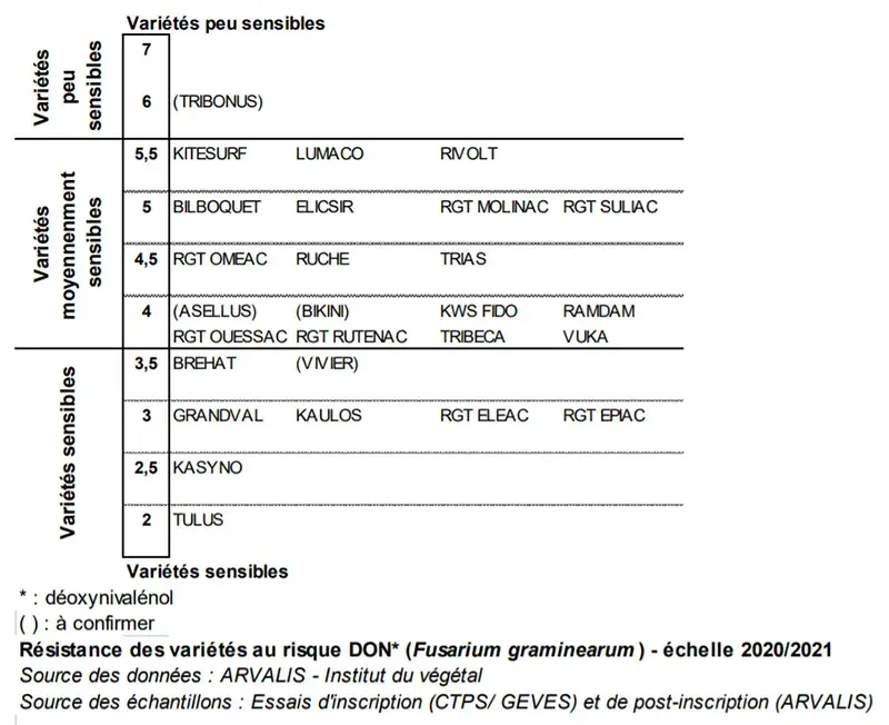 Classement des variétés de triticale selon leur résistance au risque DON (F. graminearum) - échelle 2020/2021
