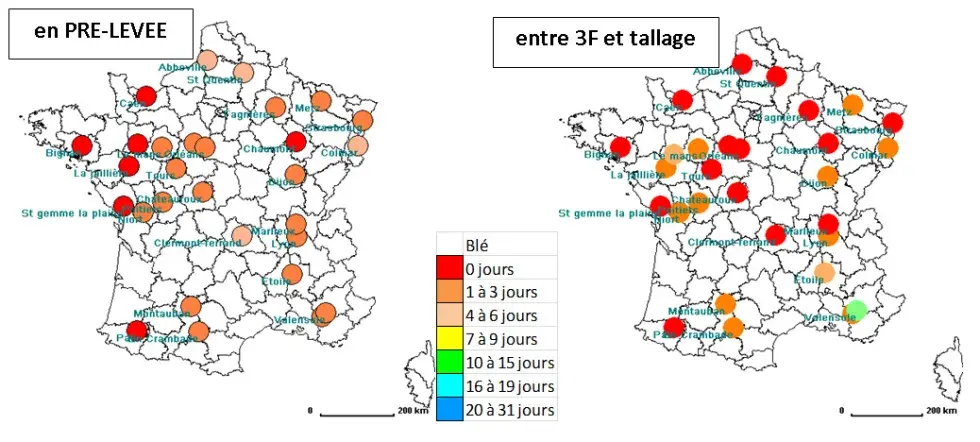 Nombre de jours disponibles pour le désherbage mécanique d’un blé à l’automne