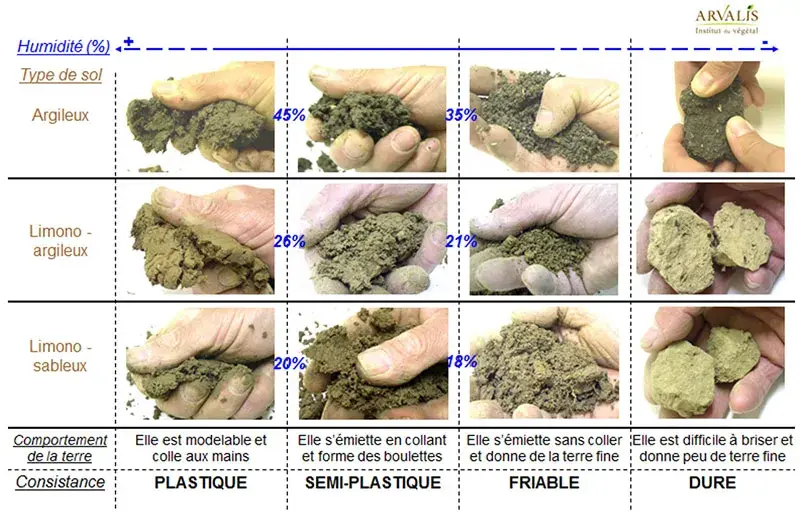 Figure 2 : Evaluer si le sol est au bon état d’humidité pour être travaillé