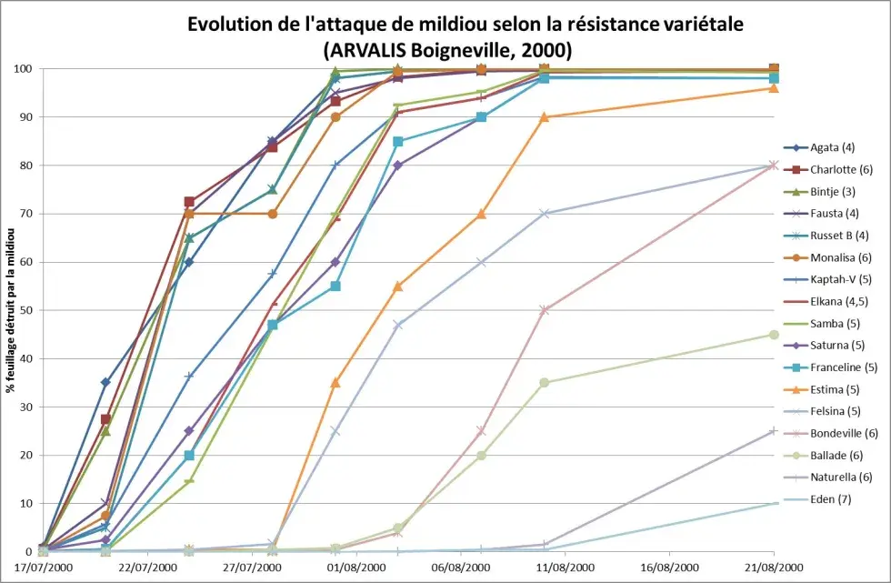 Les essentiels - Mildiou - fig2