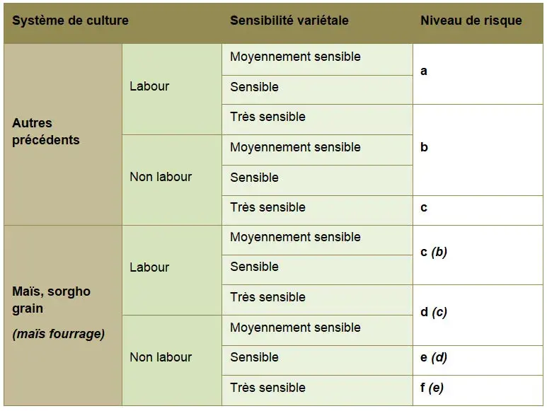 Grille d’évaluation sur blé dur du risque d'accumulation de déoxynivalénol (DON) dans le&nbsp;grain