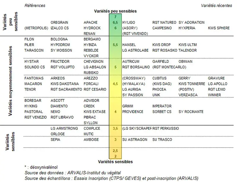 Classement des variétés de blé tendre selon leur résistance au risque DON (F. graminearum) – échelle 2020/2021