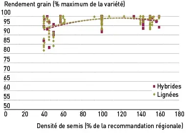 Réponse du rendement du blé tendre à la densité de semis : distinction entre hybrides (5 variétés) et lignées (10 variétés), hors situations versées