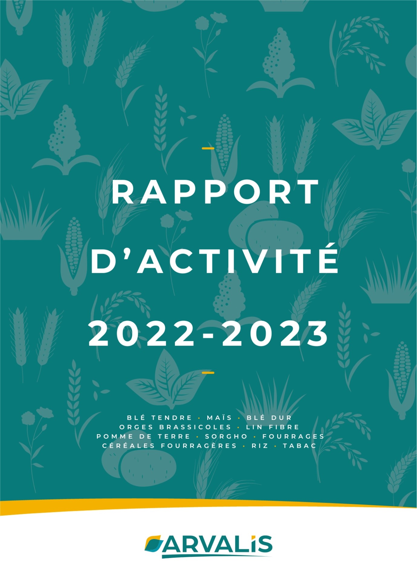 Rapport d'activité 2022-2023