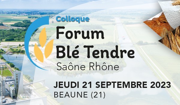 Forum Blé tendre 2023