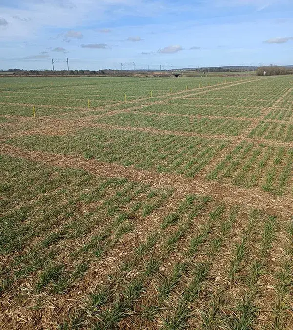 essai BTH gemeaux 14 mars 2022 stade tallage