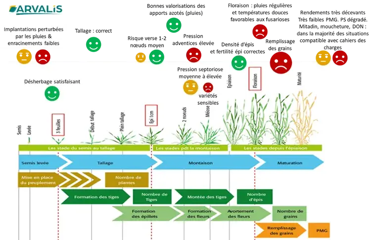 Figure 2&nbsp;: Résumé des faits marquants de la campagne Blé Dur 2023-2024