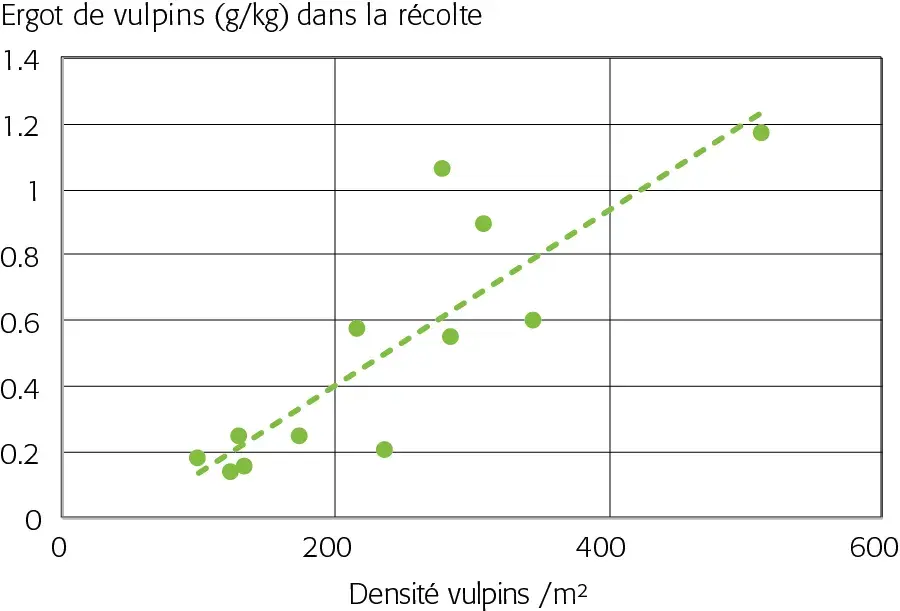 Graphique de la densité d'ergot de vulpins dans al récolte selon densité de vulpins