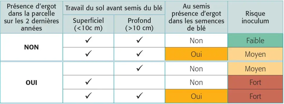 Tableau 1 : Risque d’inoculum d’ergot selon l’historique parcellaire, le travail du sol et la présence d’ergot dans les semences