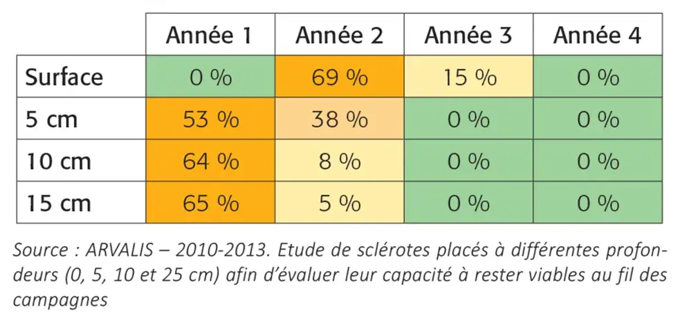Tableau d'étude de la germination desclérotes selon leu rprofondeur