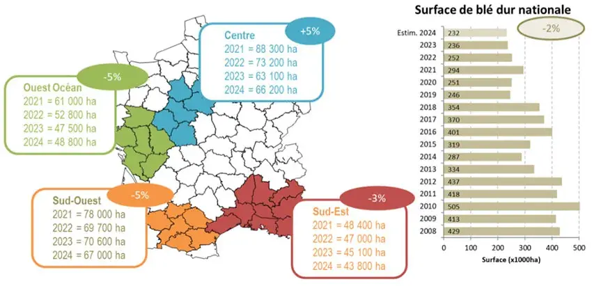 Figure 1&nbsp;: Surfaces de blé dur en France