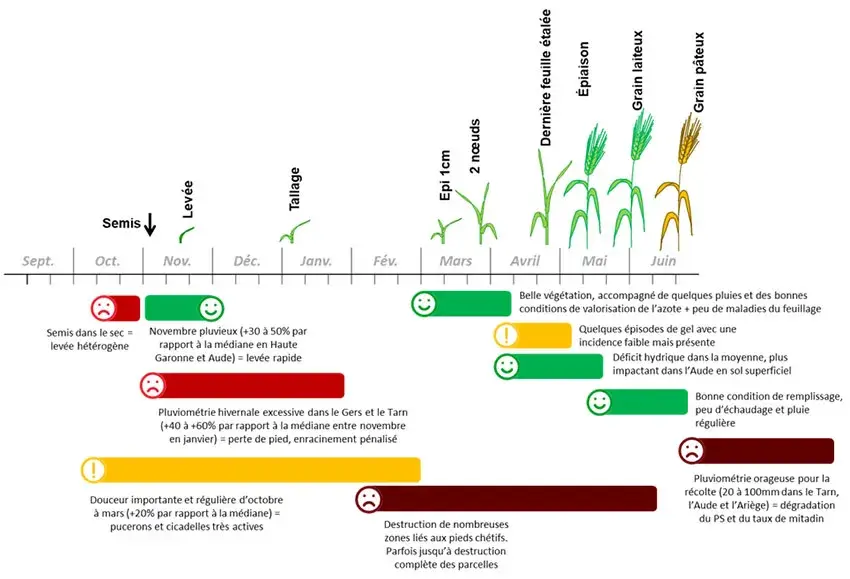 Figure 1&nbsp;: Points clés de la campagne de blé dur