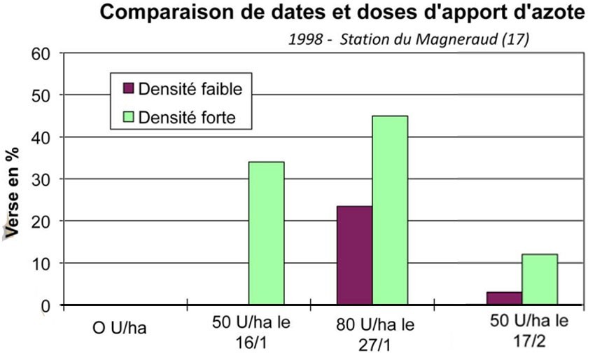 Figure 2 : Effet de la dose et de la date du 1er apport d'azote sur la densité du couvert