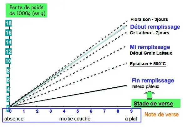 Figure 1 :&nbsp;Réduction du PMG en fonction de l'intensité et de la date d'apparition de la verse