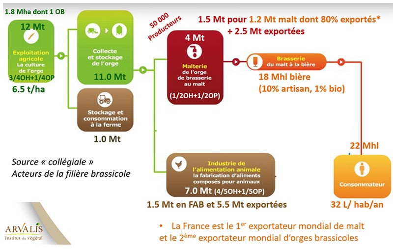 Figure 1 : Les chiffres-clés de la filière orges en France en moyenne au cours des dernières années