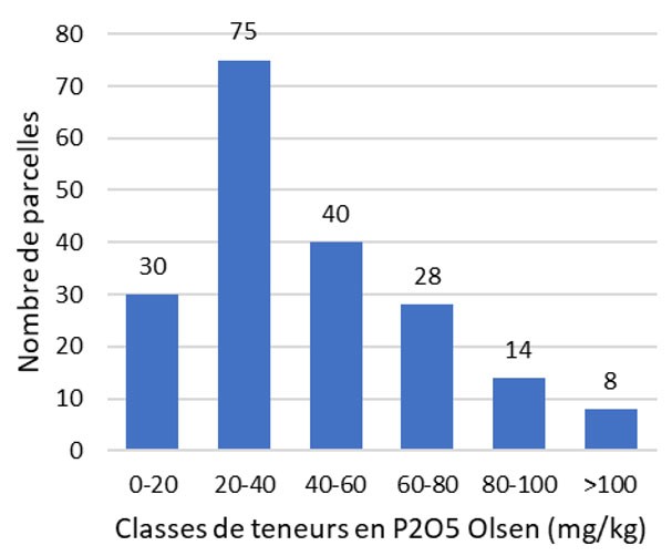 Figure 1 : Distribution des parcelles de l’observatoire PhosphoBio par classe de teneurs en P2O5 Olsen