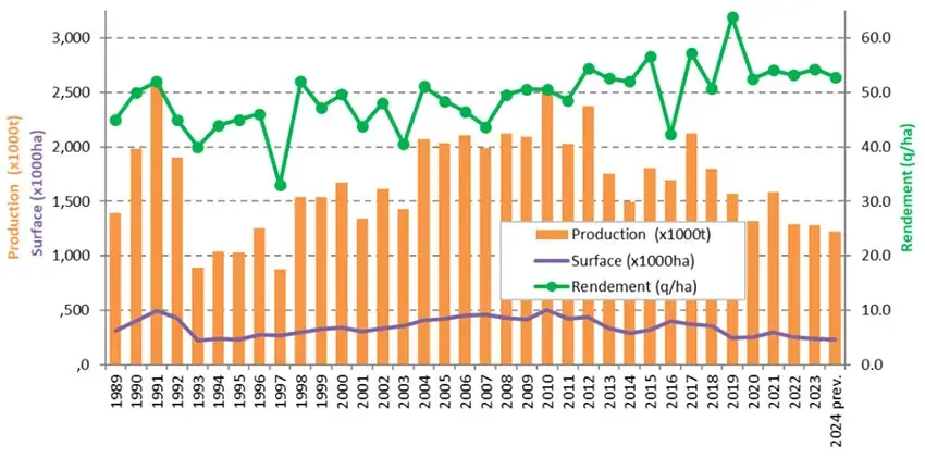 Figure 2&nbsp;: Evolution des surfaces, du rendement moyen et de la production de blé dur en France