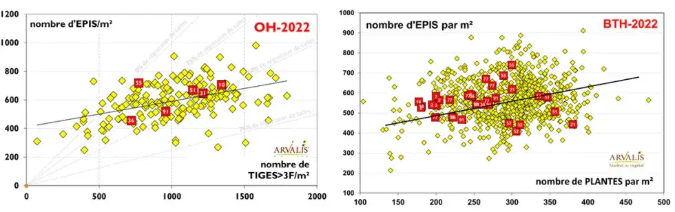 Densités épis en orge d’hiver et blé tendre d’hiver sur le réseau régional ARVALIS