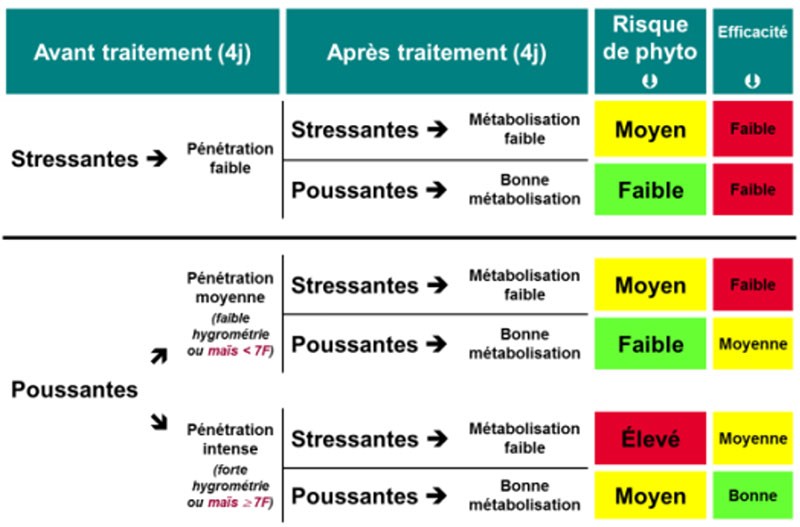 Tableau 1 : Impact des conditions d’application sur la sélectivité et l’efficacité des herbicides foliaires systémiques