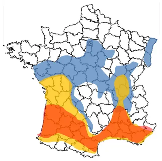 Zones pour les semis de sorgho
