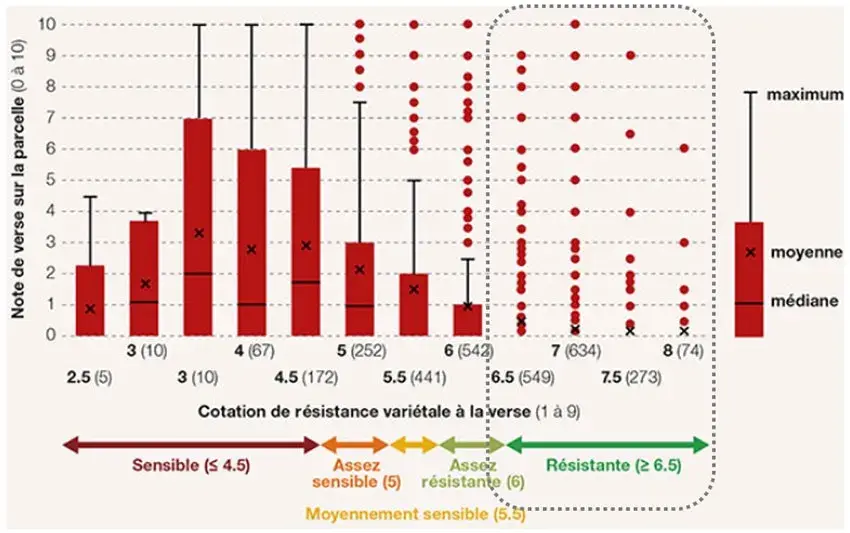 Figure 5 :&nbsp;Niveau de verse observé sur blé tendre non régulés en fonction de la note de résistance variétale à la verse