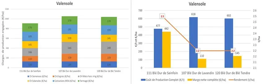 Figure 3&nbsp;: Evolution des charges et de la marge du blé dur bio en fonction du précédent cultural