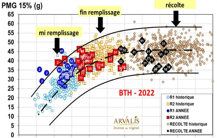Evolution du PMG durant le remplissage des blés