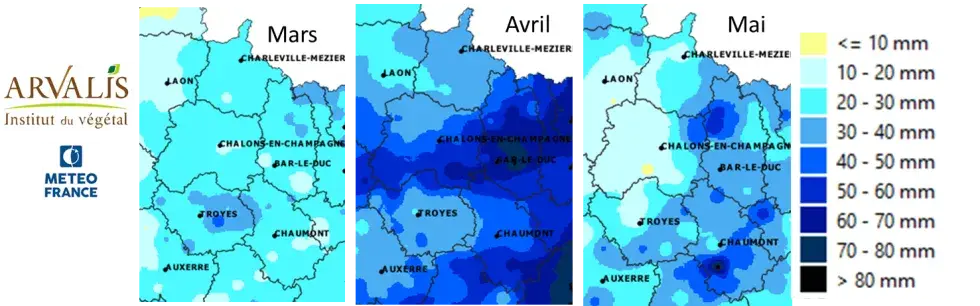 cumul de pluie mensuel